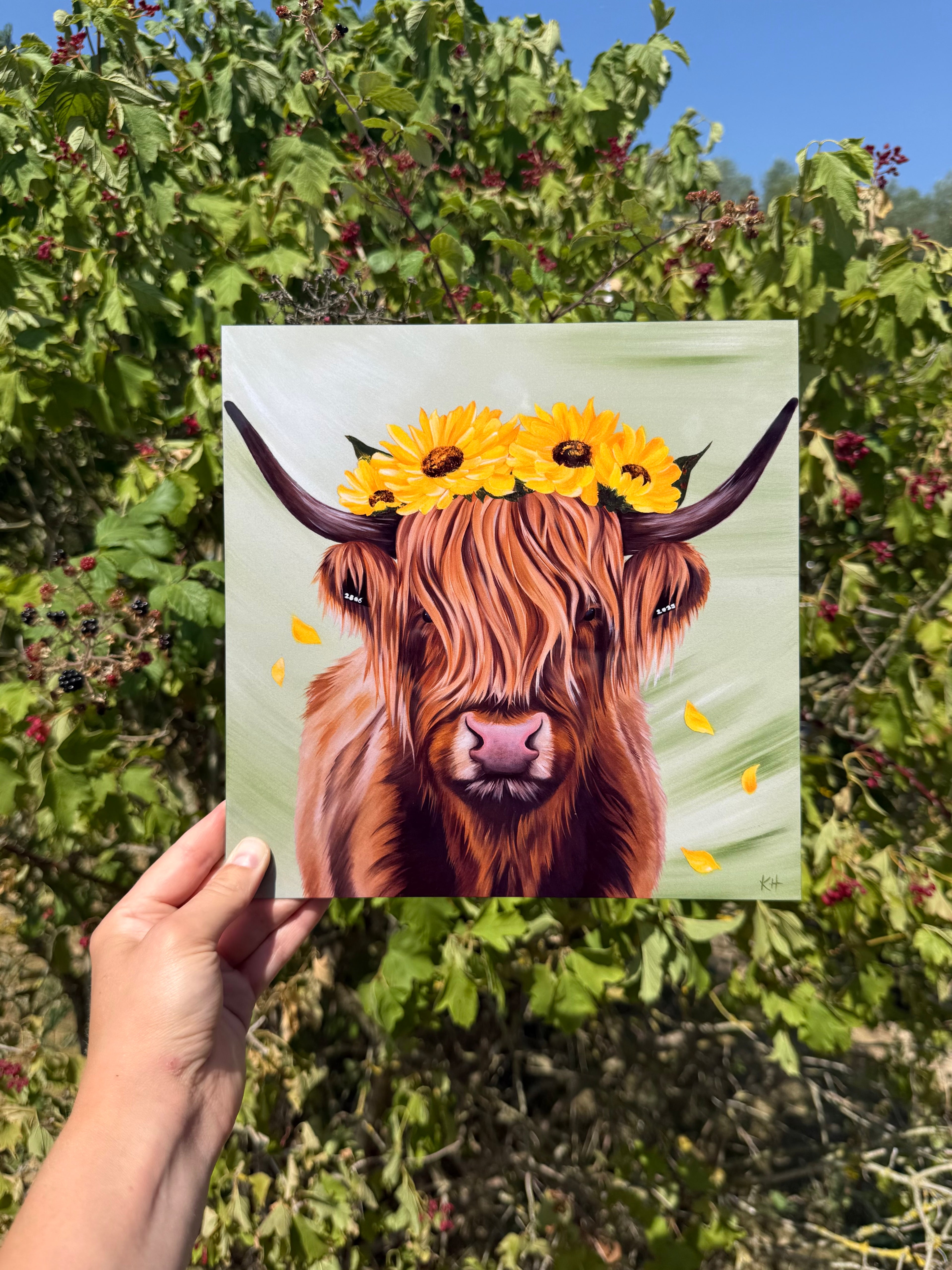 Aluminum highland cow print with sunflowers 