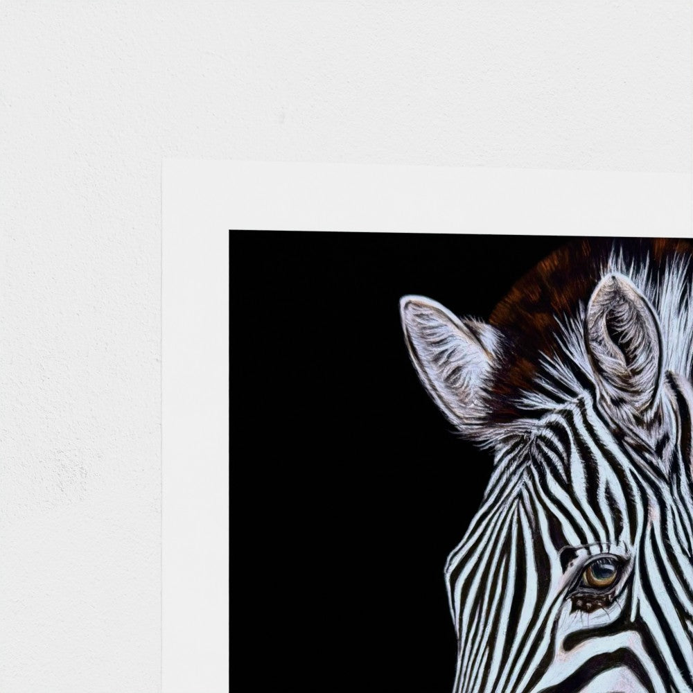 A close-up art print of a zebra head on a black background, shown with a wide white border against a light gray wall.