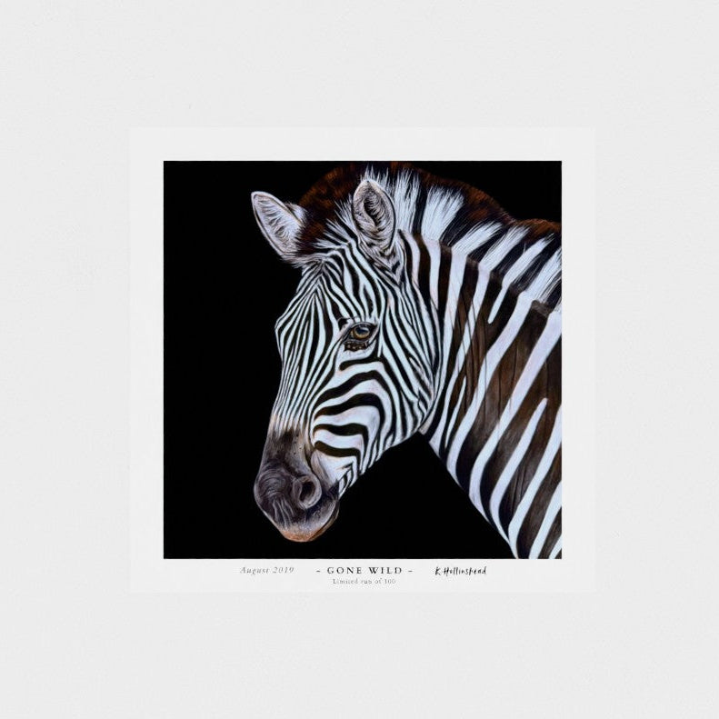 A square art print featuring a close-up portrait of a zebra with bold black and white stripes against a black background, centered on a light gray field.