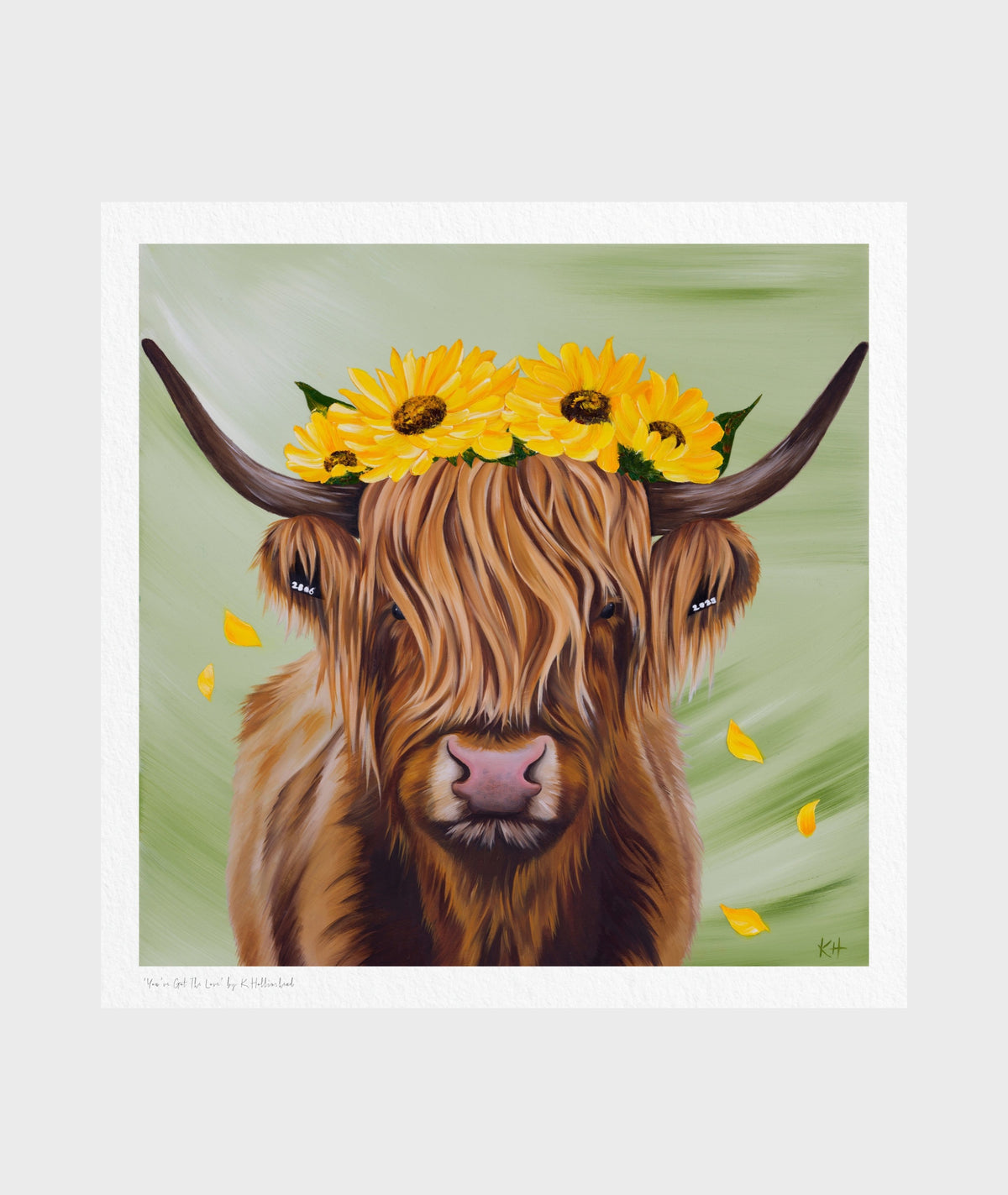 highland cow with unflower crown
