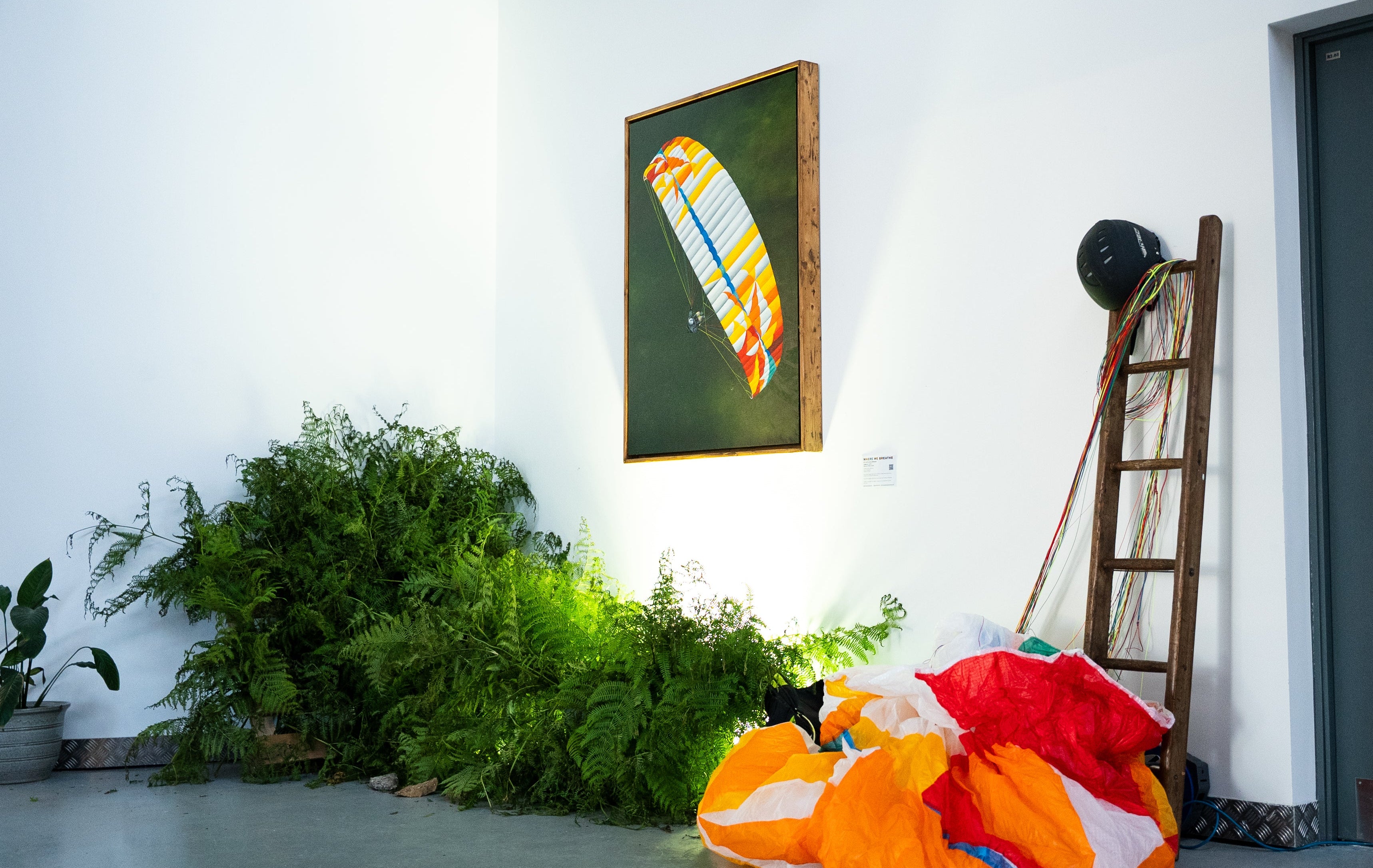 A colorful parachute lies on the floor in a gallery or studio space next to a dark gray door, with a framed kite painting on the wall and green plants in the corner.